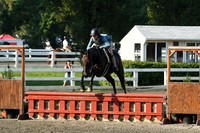 HSM_9507