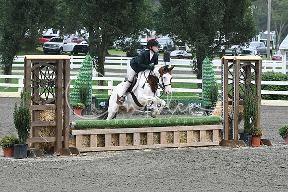 HSM_2117