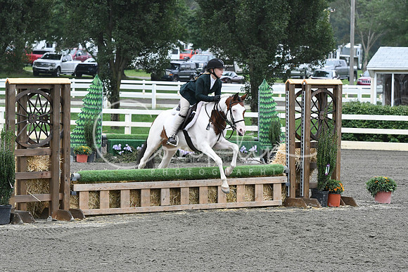 HSM_2118
