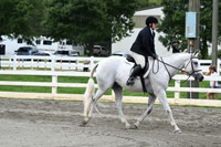 HSM_3336
