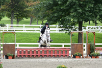 HSM_3413