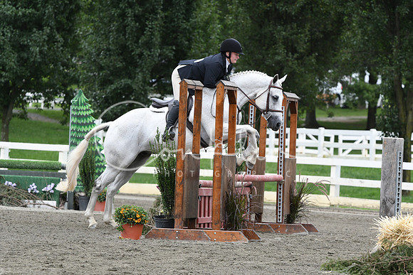 HSM_3416