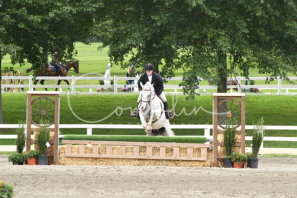 HSM_3461