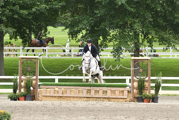 HSM_3462