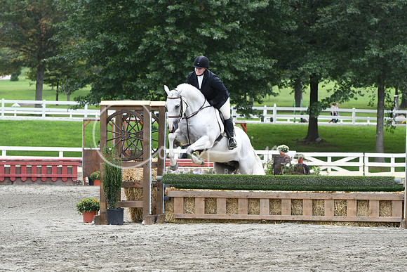 HSM_3463