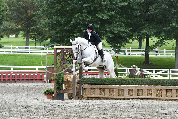 HSM_3464