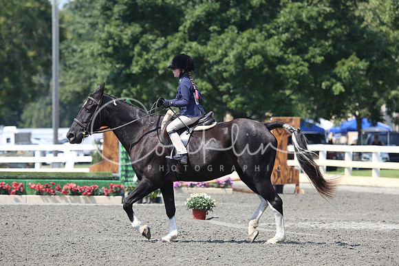 KCM_2329