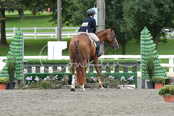 HSM_4605