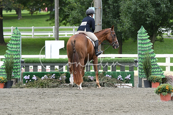 HSM_4606