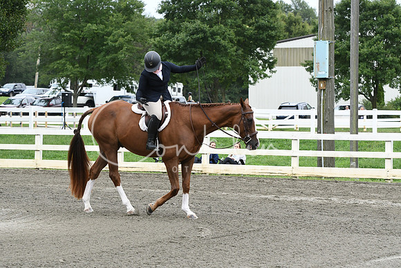 HSM_4694