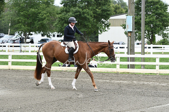 HSM_4695