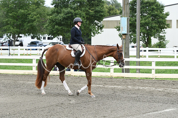 HSM_4696