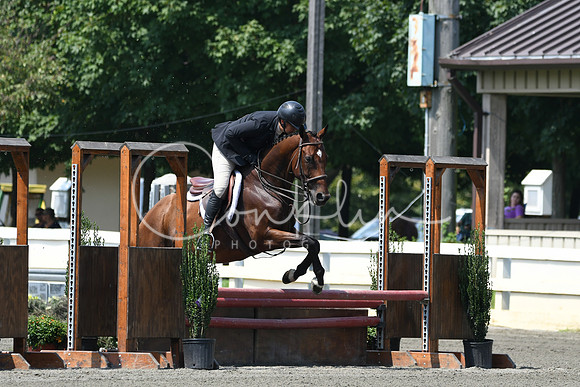 HSM_0617