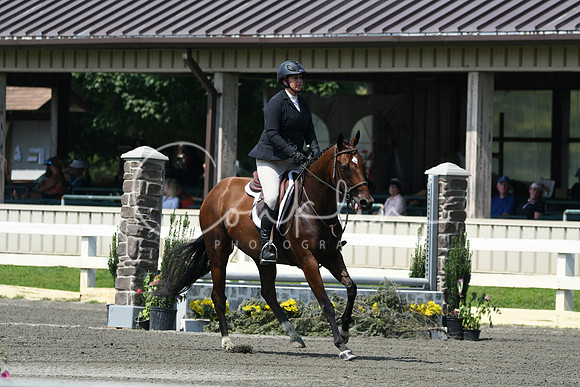 HSM_0619