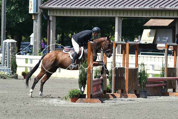 HSM_0647