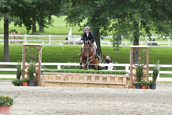 HSM_3707