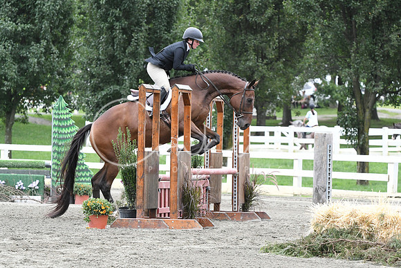 HSM_3772