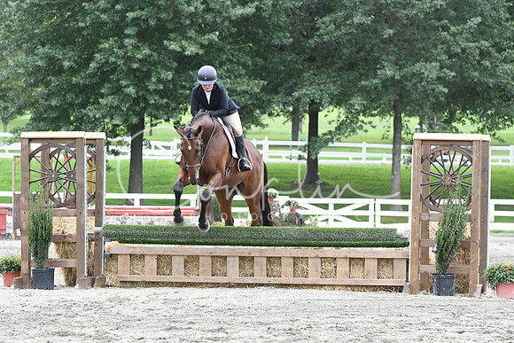 HSM_3777