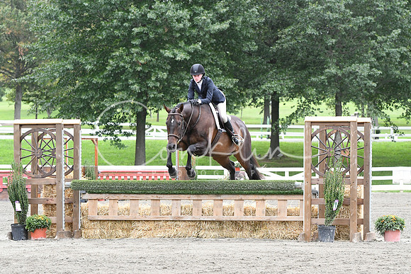 HSM_4458