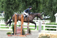 HSM_4466