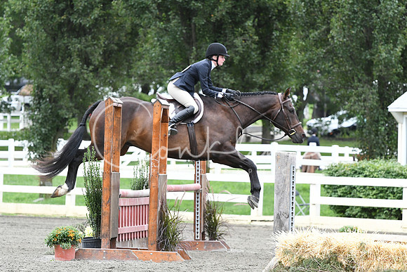 HSM_4466