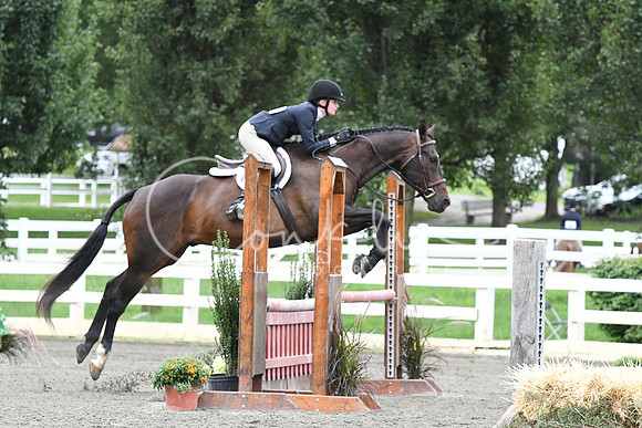 HSM_4465