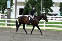 HSM_4468