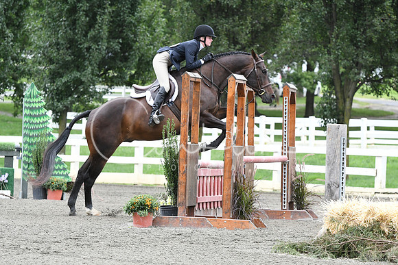 HSM_4493