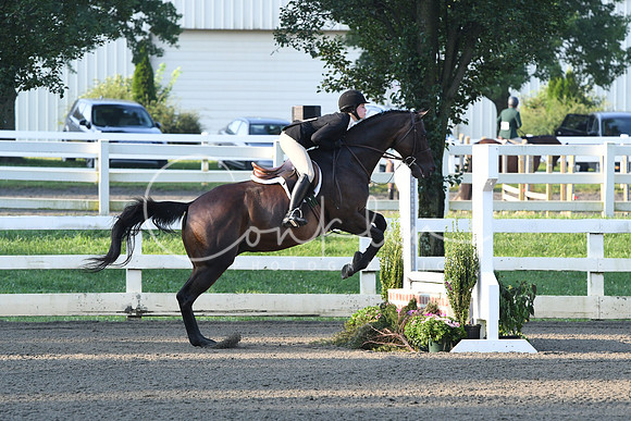 HSM_9241