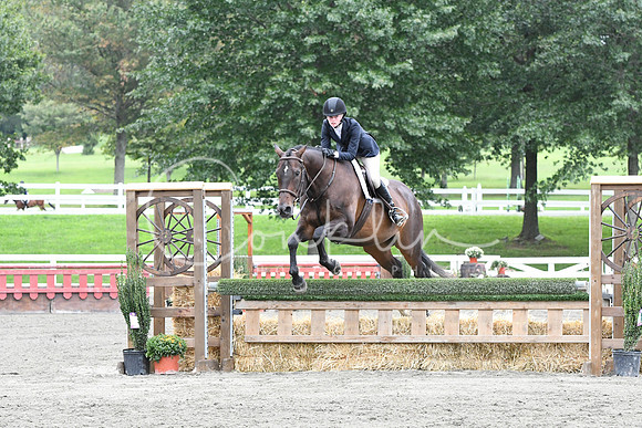 HSM_4499