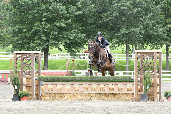 HSM_4528