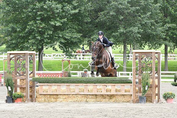HSM_4527