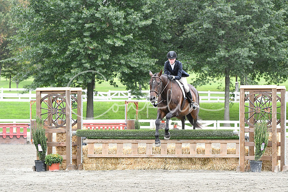 HSM_4529