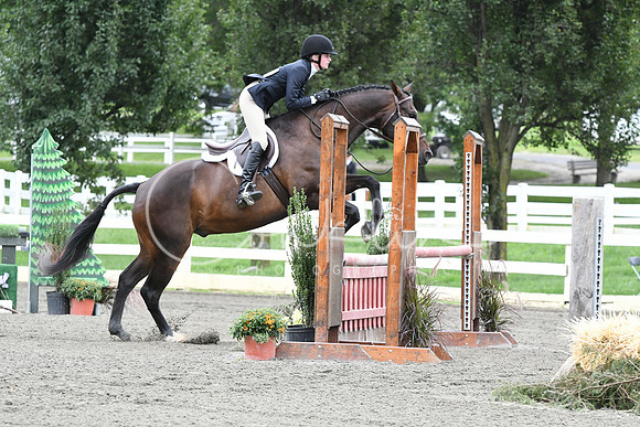 HSM_4534