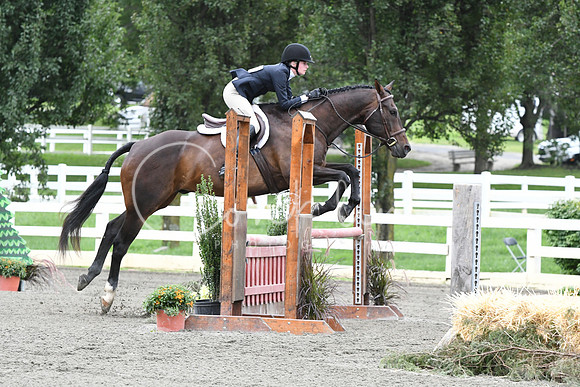 HSM_4535