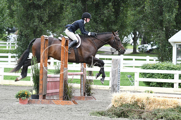 HSM_4536