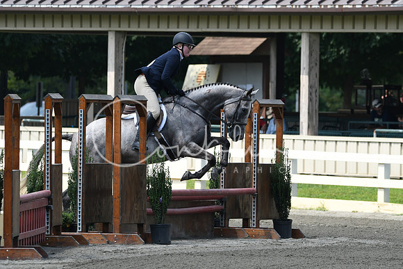 HSM_0806