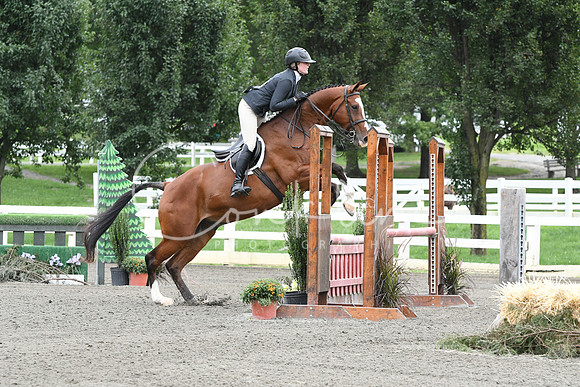 HSM_4725