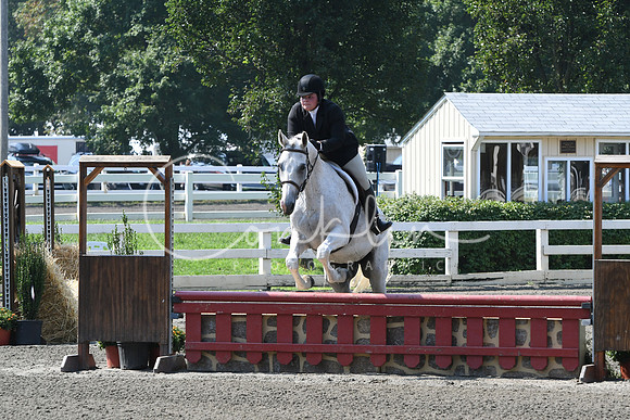 HSM_0293