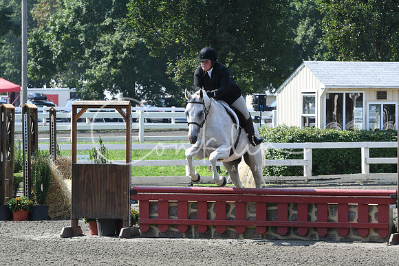 HSM_0294