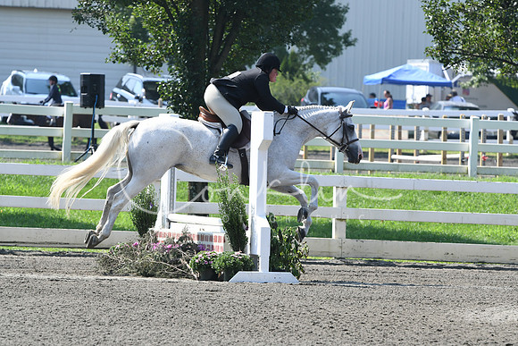 HSM_0299