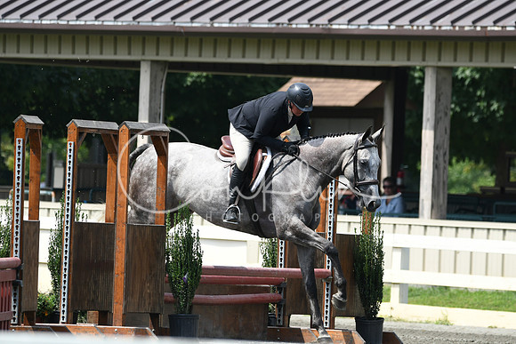 HSM_0838