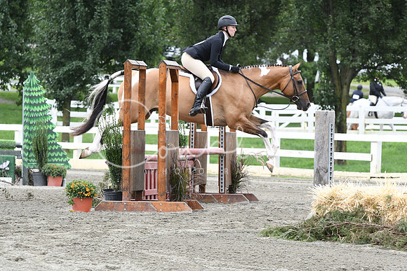 HSM_3700