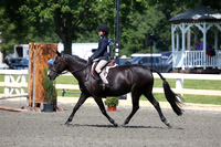 KCM_2013