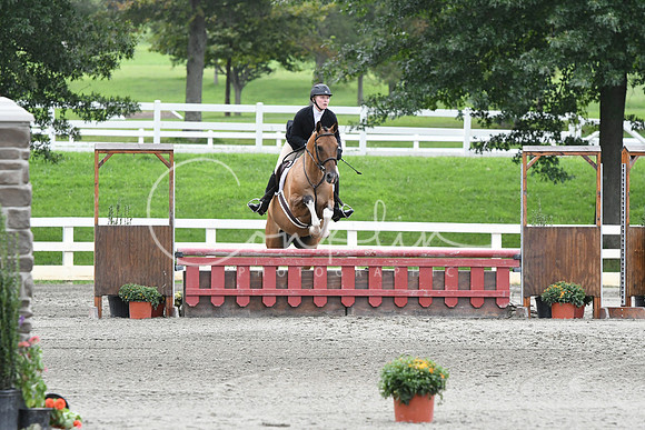 HSM_3817