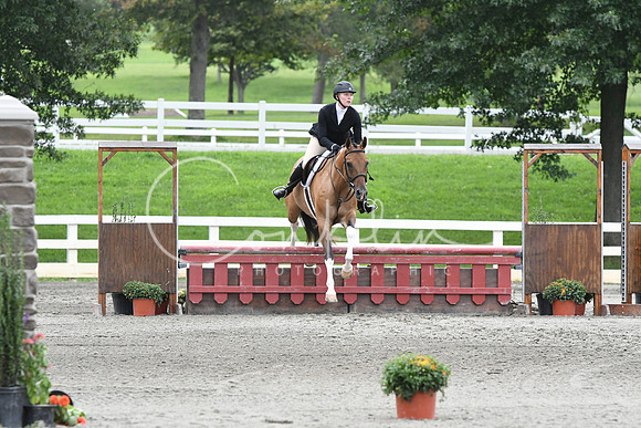 HSM_3819