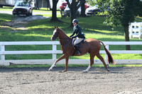 HSM_0060