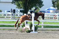 HSM_0067