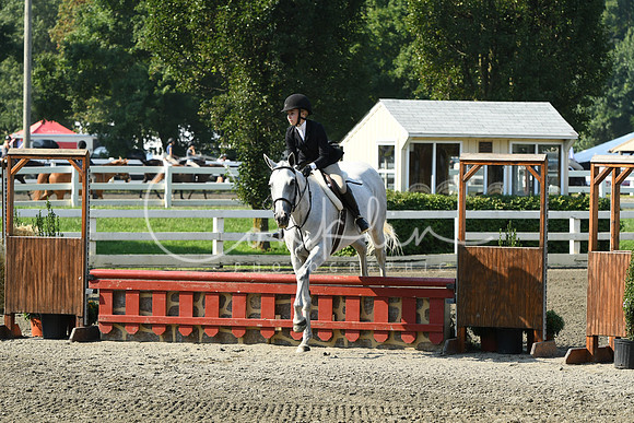 HSM_0019