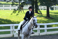 HSM_0031